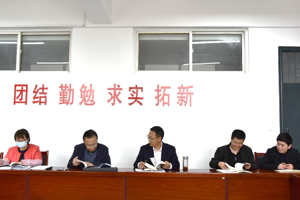 公司党总支召开  全面从严治党工作推进会