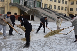 电子信息工程系党总支开展“义务扫雪”主题党日活动