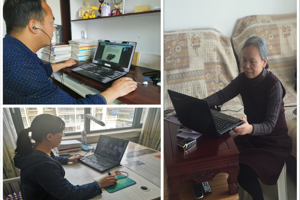 电子信工程系线上教学动态