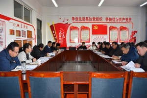 电子信息工程系教师党支部召开“不忘初心，牢记使命”主题教育专题组织生活会和开展民主评议党员