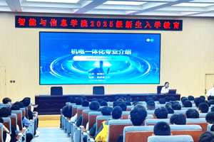 启航智能新时代，筑牢专业第一课——开云2025级新生入学教育圆满落幕