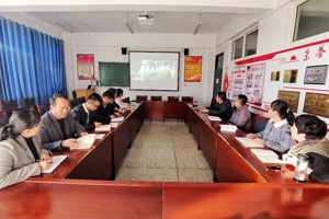 电子信息工程系党总支组织主题党日观影活动